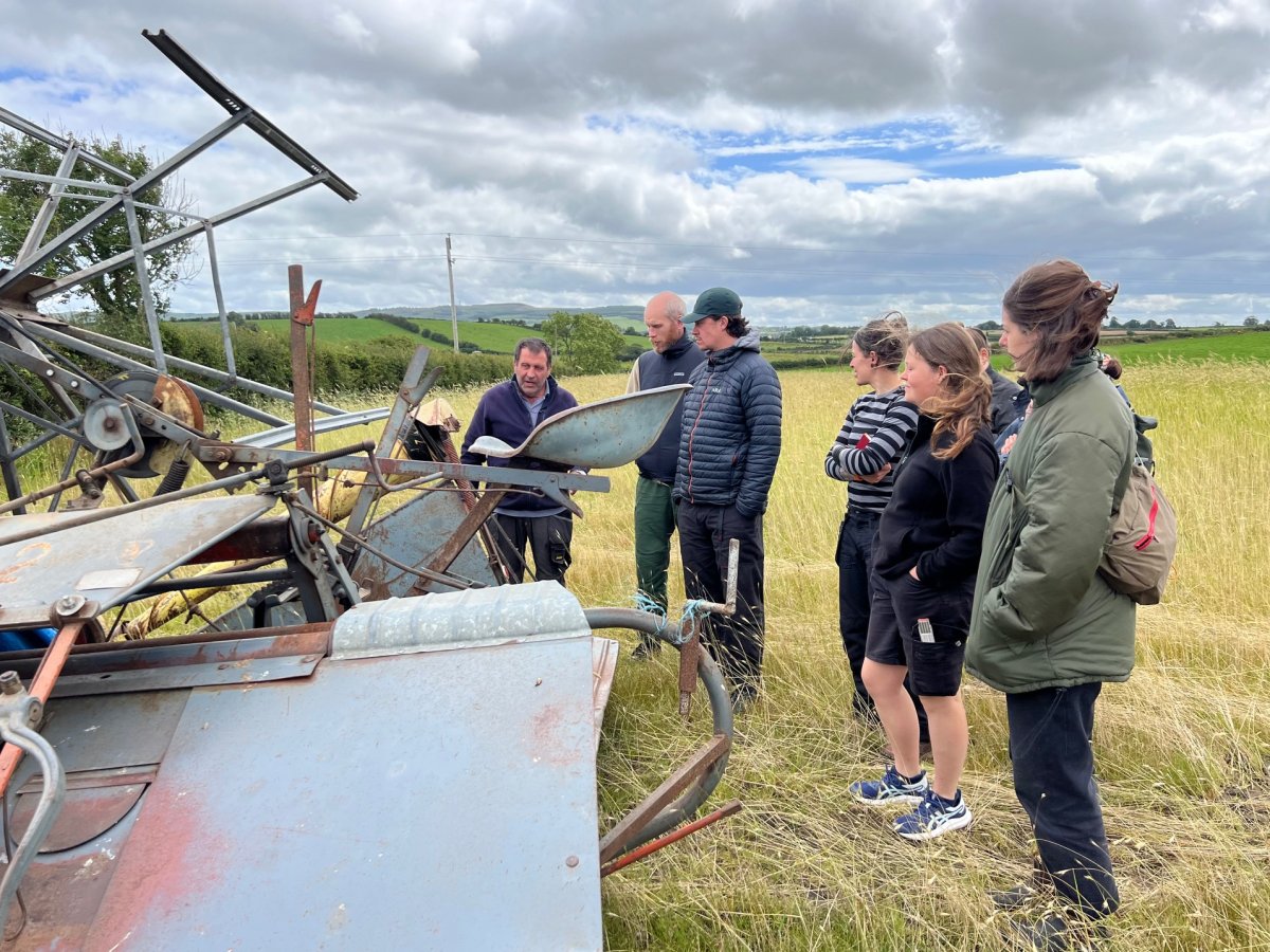 Learning about thatching